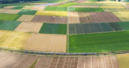 Agricultural area in the Neckarbogen near Lauffen am Neckar. Regional railway on the way. Lauffen