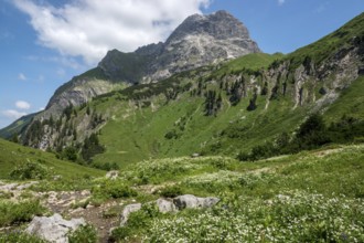 Bärgunttal, behind Großer Widderstein, near Baad, Kleinwalsertal, Allgäu Alps, Vorarlberg, Austria