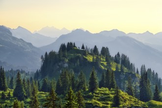 View from the Pragel Pass over the Muota Valley in the evening light, Central Swiss Alps, Canton