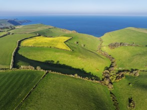 Farms and Fields over Brixham and Kingswear from a drone, Devon, England, United Kingdom