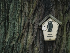 Natural monument, nature conservation owl, Mecklenburg-Western Pomerania, Germany