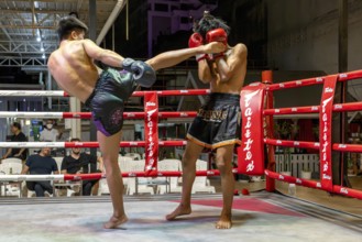 Thai boxing Muai Thai boxer in action, Pattaya, Thailand