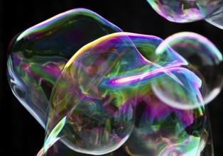 Large, irregular, iridescent soap bubbles in the colours of the rainbow against a black background,