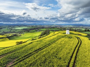 Rapeseed fields and Farms over Devon Windmill from a drone, Torquay, Devon, England, United Kingdom