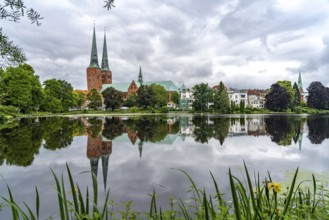 Mill pond and Lübeck Cathedral, Hanseatic City of Lübeck, Schleswig-Holstein, Germany