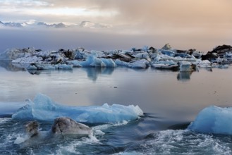 Icebergs in the morning light, Jökulsárlón glacier lagoon, Jökulsarlon, glacial lake, Hornafjörður,