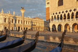View of the Doge's Palace and the Piazzetta from the water in the morning, Venice, Veneto, Italy