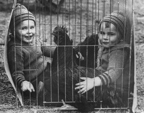 Children with a cockerel in a cage, 1930s, Two laughing children sitting with a chicken in a cage,
