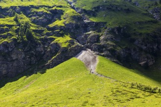 Waterfall and green slopes in a rock face, Zinal valley, Val d'Anniviers, Valais Alps, Canton
