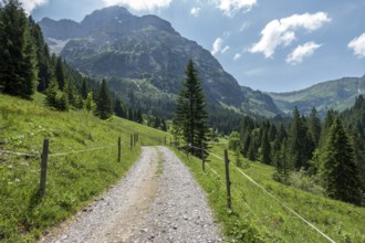Hiking trail in Bärgunttal, behind Großer Widderstein, near Baad, Kleinwalsertal, Vorarlberg,