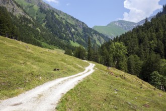 Hiking trail in the Dietersbach valley between Gerstruben and Dietersbachalpe, near Oberstdorf,