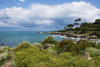 Picturesque wild hiking trail on the coast, Sentier du Littoral, Cap d'Antibes, Antibes, Provence