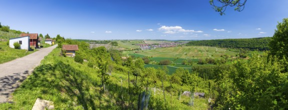Panorama of the view of Hessigheim with a view over the Neckar loop and vineyards, Besigheim,