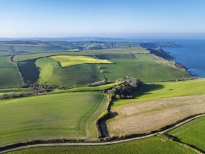 Farms and Fields over Brixham and Kingswear from a drone, Devon, England, United Kingdom