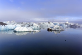 Icebergs in the morning light, Jökulsárlón glacier lagoon, Jökulsarlon, glacial lake, Hornafjörður,