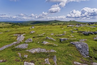 Stones and landscape at the top Tor tor rock hill in Dartmoor National Park. Widecombe-in-the-Moor,