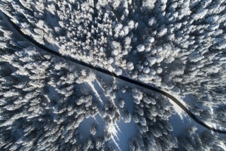 Aerial view of road leading through freshly snow-covered winter forest, Switzerland