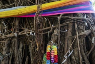 Bodhi tree, Ficus religiosa, wooden figure, Koh Phi Phi, Krabi, Andaman Sea, Thailand