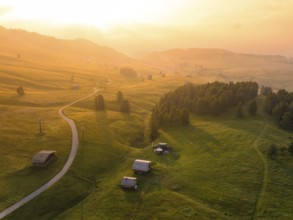 Green landscape with meadows, hills and scattered trees in the soft evening light, Alpe di Siusi,