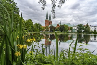 Mill pond and Lübeck Cathedral, Hanseatic City of Lübeck, Schleswig-Holstein, Germany
