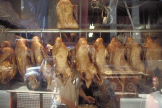 Roast duck in a shop window in China Town, New York City, USA