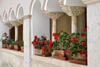 Columns with capitals, ornamental crutch capitals from the 10th and 11th centuries, flower boxes