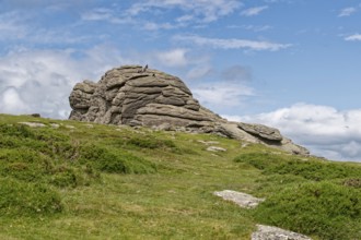The Haytor Rocks in Dartmoor National Park. Bovey Tracey, Devon, South England, Great Britain