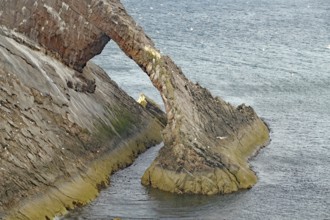 Remarkable rock formation jutting into the sea under a blue sky with few clouds, Bow Fiddle Rock,