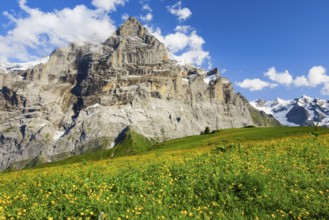 Wetterhorn, Bernese Oberland, Switzerland