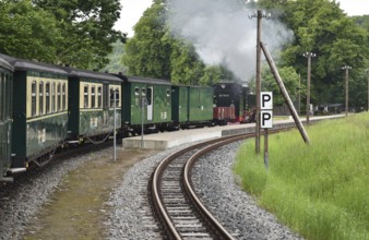 The Raging Roland, narrow-gauge railway, on Rügen, Mecklenburg-Vorpommern, Germany