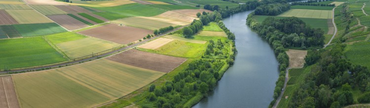 Agricultural area in the Neckarbogen near Lauffen am Neckar. Cereal fields in different shades of