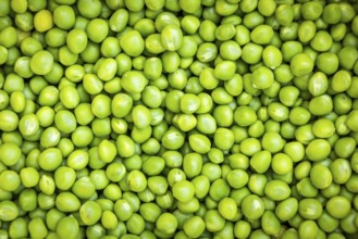 Close-up of fresh green peas (Pisum sativum) lying close together