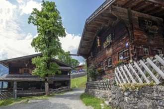 Old farmhouses in the historic mountain farming village of Gerstruben, Dietersbachtal, near