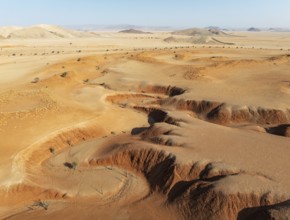 Canyons, arid plains grown with camelthorn trees (Vachellia erioloba) and isolated mountain ridges