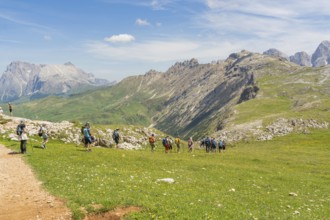Group of hikers exploring a path through a wide green landscape, Schlehrn hike, Alpe di Siusi,