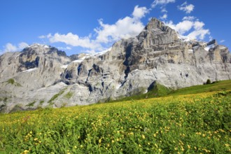 Wetterhorn, Bernese Oberland, Switzerland
