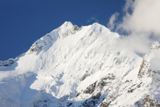 Freshly snow-covered summit of Piz Bernina and Biancograt, Engadin in the canton of Graubünden,
