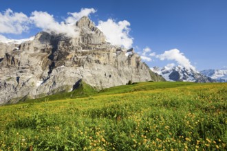 Wetterhorn, Bernese Oberland, Switzerland