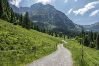 Hiking trail in Bärgunttal, behind Großer Widderstein, near Baad, Kleinwalsertal, Vorarlberg,