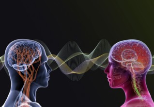 Symbol photo, ChatGBT, AI, OpenAI, chatbot, artificial intelligence, artificial intelligence, IT