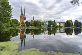 Mill pond and Lübeck Cathedral, Hanseatic City of Lübeck, Schleswig-Holstein, Germany
