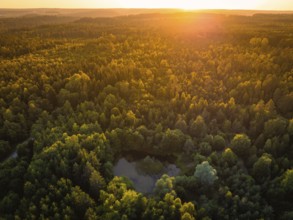 Pond in the centre of a forest landscape at sunset, warm and peaceful atmosphere, Althengstett,