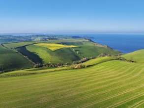 Farms and Fields over Brixham and Kingswear from a drone, Devon, England, United Kingdom