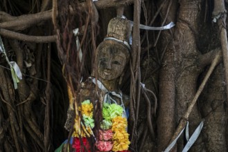 Bodhi tree, Ficus religiosa, wooden figure, Koh Phi Phi, Krabi, Andaman Sea, Thailand