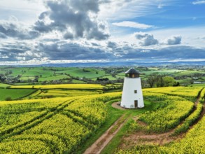 Rapeseed fields and Farms over Devon Windmill from a drone, Torquay, Devon, England, United Kingdom
