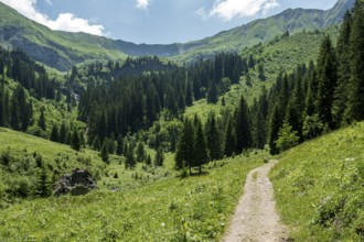 Hiking trail to the Hochalp Pass, Bärgunttal, near Baad, Kleinwalsertal, Allgäu Alps, Vorarlberg,