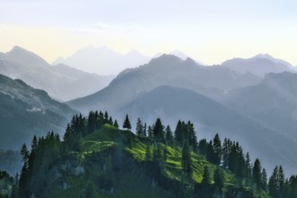 View from the Pragel Pass over the Muota Valley in the evening light, Central Swiss Alps, Canton