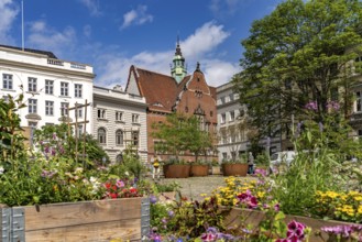 Flower boxes on Geibelplatz and the Ernestinenschule in the Hanseatic city of Lübeck,