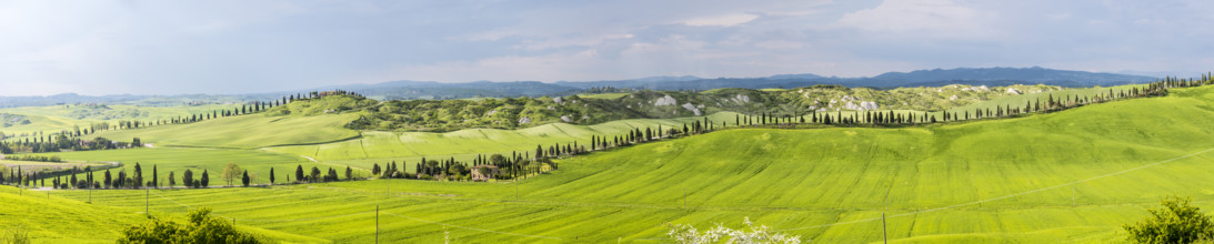 Biancane di Leonina, hilly landscape with cypresses, Crete Senesi, province of Siena, Tuscany,