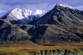 Mount Eielson and tundra landscape in autumn, Mount Eielson and tundra landscape in Indian summer,
